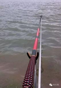 国产船竿测评视频大全集,品质与性能的深度解析 第2张 国产船竿测评视频大全集,品质与性能的深度解析 第2张