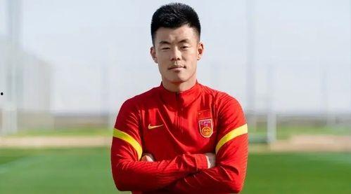 国产前锋谭龙完整视频,国产前锋的进球盛宴  第3张