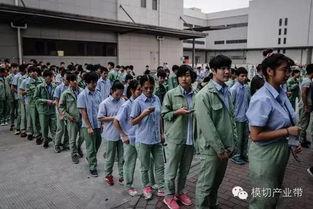 国产手机生产车间视频