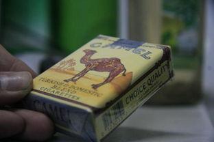 国产骆驼烟测评视频